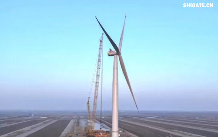 1月11日，全球最大功率等級(jí)的漂浮式風(fēng)電機(jī)組——中國(guó)中車“啟航號(hào)”在山東東營(yíng)風(fēng)電裝備測(cè)試認(rèn)證創(chuàng)新基地吊裝成功，標(biāo)志著我國(guó)在海上超大型風(fēng)機(jī)的探索邁出重要一步。該項(xiàng)目風(fēng)電機(jī)組的配套塔筒是全球直徑最大、重量最重的塔筒型號(hào)，所用鋼板由河鋼集團(tuán)舞鋼公司獨(dú)家提供。  微信圖片_20250220083217.jpg  舞鋼公司深入貫徹集團(tuán)要求，以客戶需求為導(dǎo)向，大力開(kāi)展技術(shù)營(yíng)銷，不斷優(yōu)化營(yíng)銷方案，通過(guò)提供“一攬子”解決方案，滿足高端客戶對(duì)高品質(zhì)產(chǎn)品和未來(lái)發(fā)展的需求，加速由生產(chǎn)型向“制造+服務(wù)”型企業(yè)轉(zhuǎn)變。該項(xiàng)目對(duì)產(chǎn)品抗沖擊性能及表面質(zhì)量有著極為嚴(yán)苛的要求，且交貨期較短，生產(chǎn)難度相當(dāng)大。為確保合同順利交付，舞鋼公司產(chǎn)線各單位協(xié)同聯(lián)動(dòng)，強(qiáng)化工藝和生產(chǎn)過(guò)程控制，攻克了高強(qiáng)度與高延伸率匹配、低溫沖擊韌性匹配等一系列技術(shù)難題，確保了產(chǎn)品各項(xiàng)指標(biāo)全部滿足客戶要求，并按期交付客戶。  微信圖片_20250220083224.jpg  “啟航號(hào)”20MW漂浮式海上風(fēng)電塔筒是專門(mén)為20MW及以上海上漂浮式風(fēng)機(jī)提供系統(tǒng)解決方案而設(shè)計(jì)的，是全球最大功率漂浮式風(fēng)電機(jī)組的配套塔筒，總高度為141.15米，最大直徑12米，重量達(dá)到了1576噸。